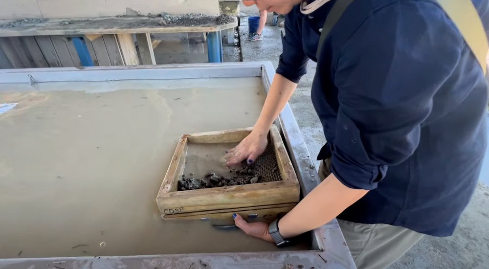 Lisette screening the dirt through the first layer