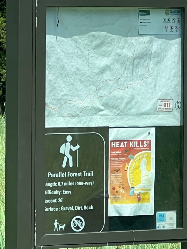 Parallel Forest Trail