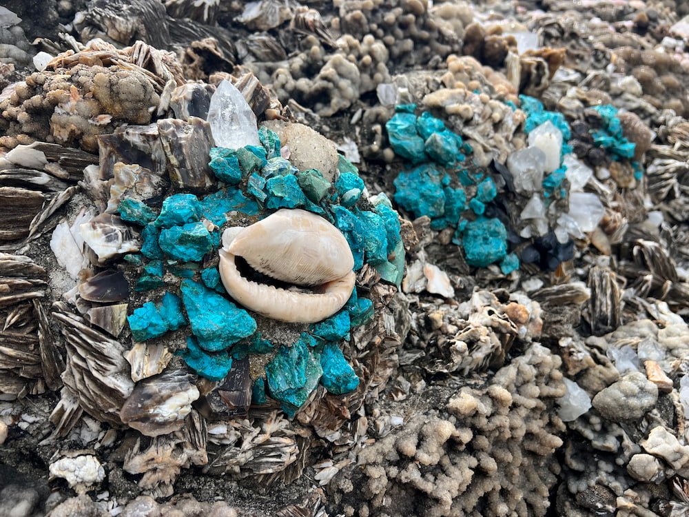 Sea shells and colorful stones