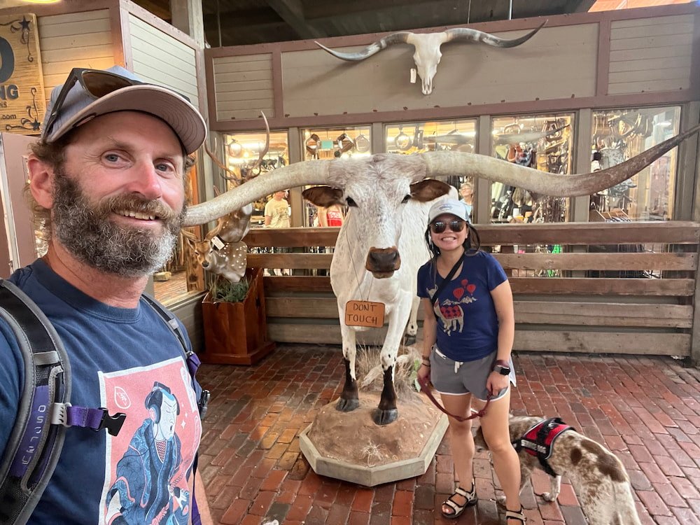 Selfie with a longhorn