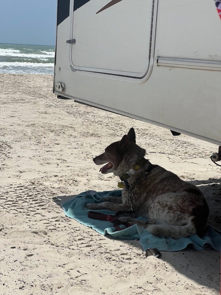 Sheila always finds the shade