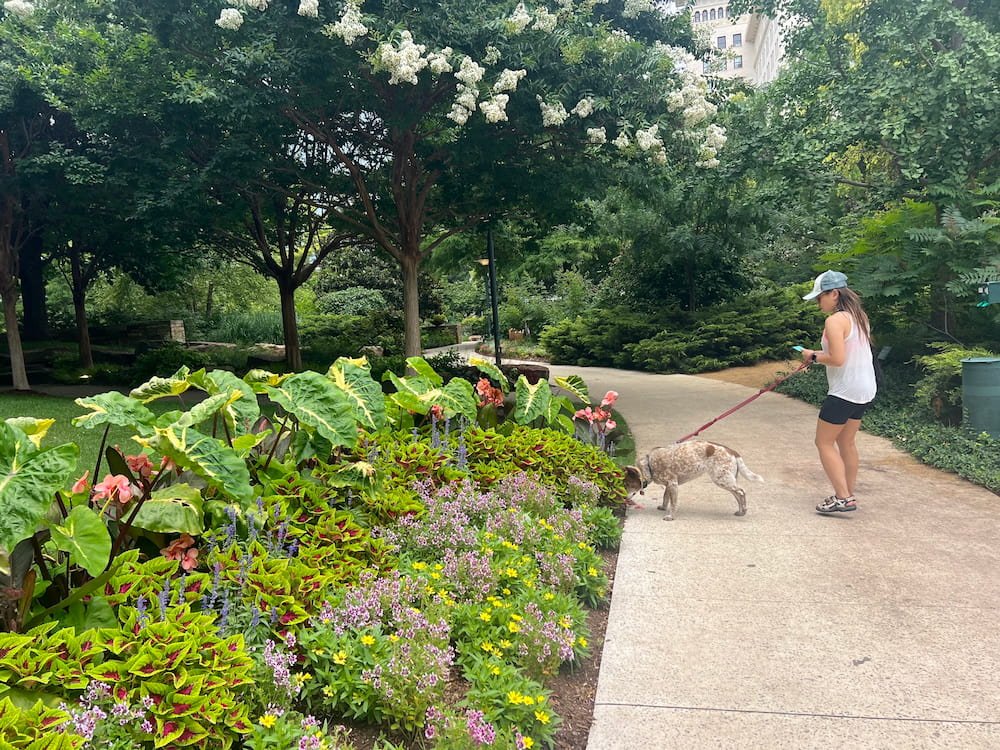 Sheila checking out the gardens