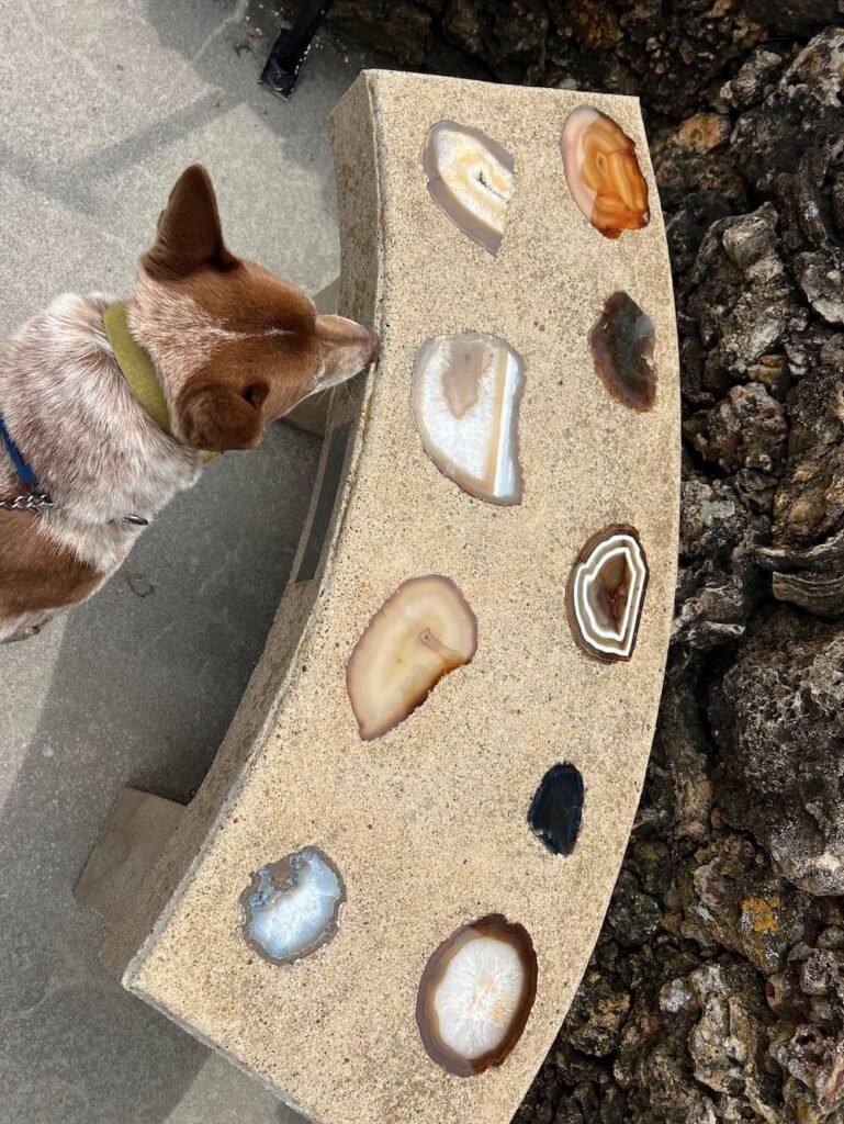 Sheila checking out this beautiful bench