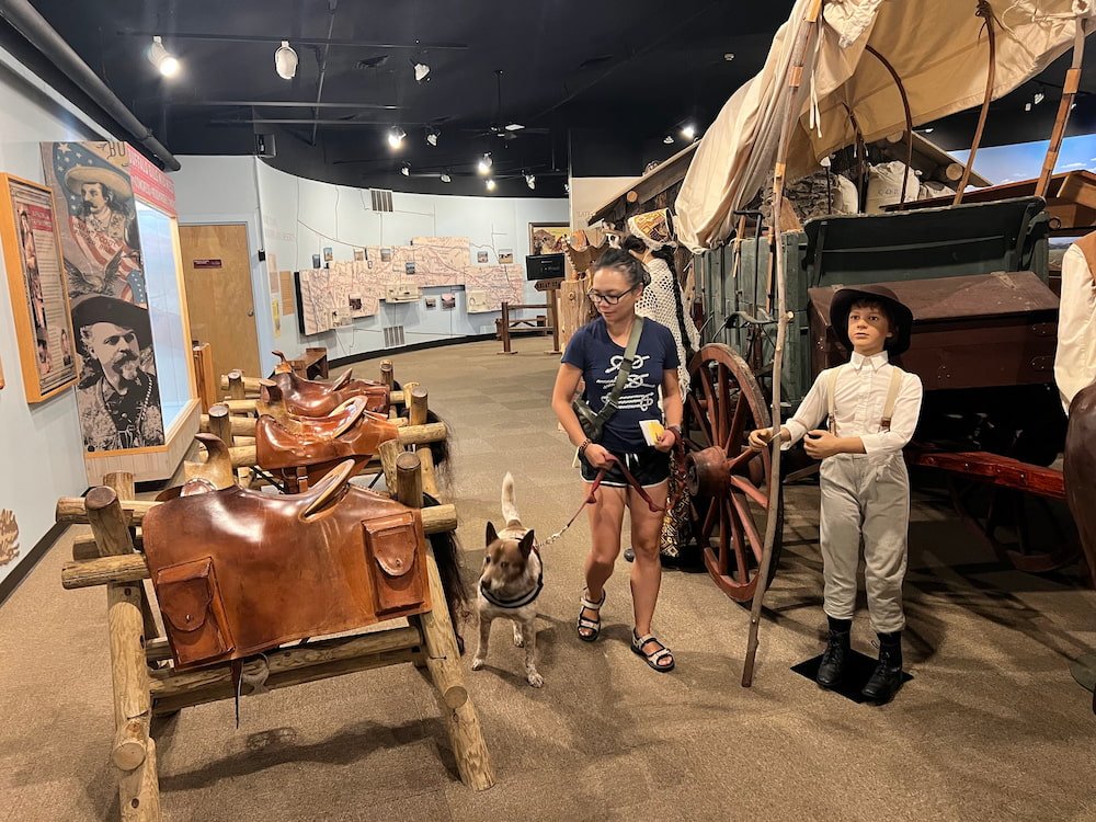Sheila inspecting the saddles