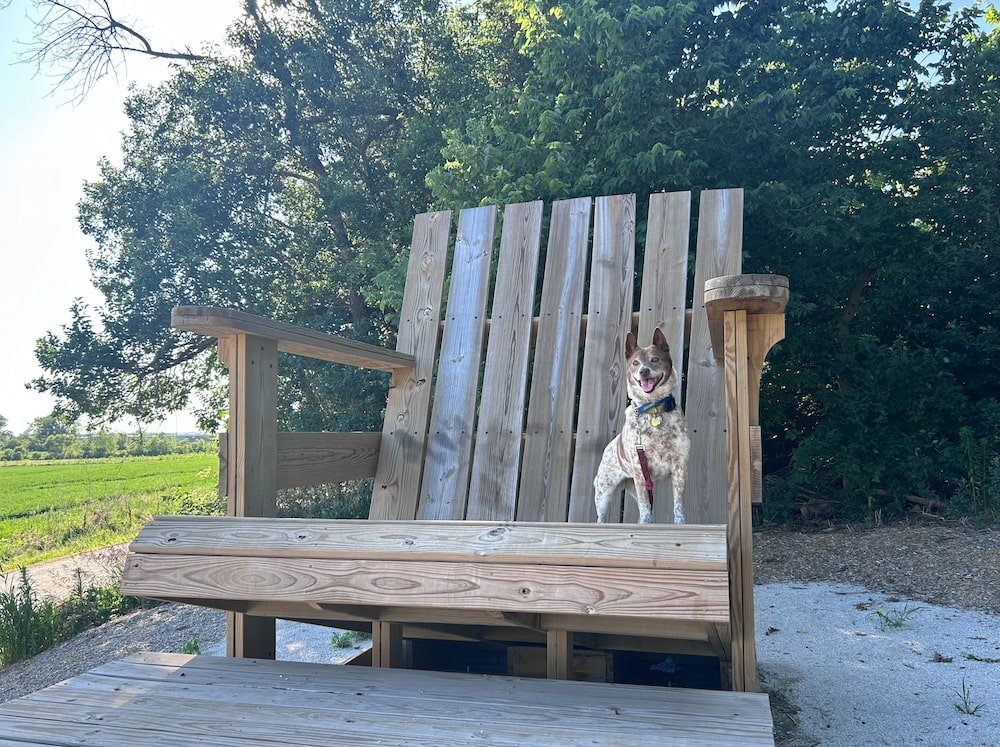 Sheila on the Big Big Chair