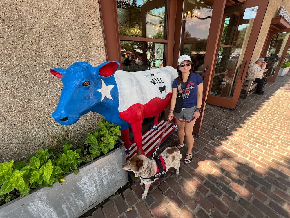 Texas Cow Statue