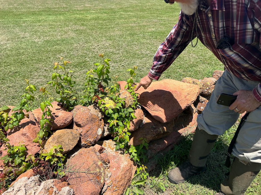 The gardener pointing out poison oak