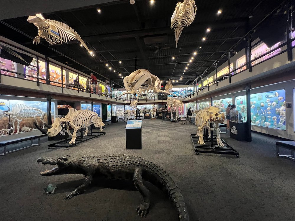 The main floor of the museum