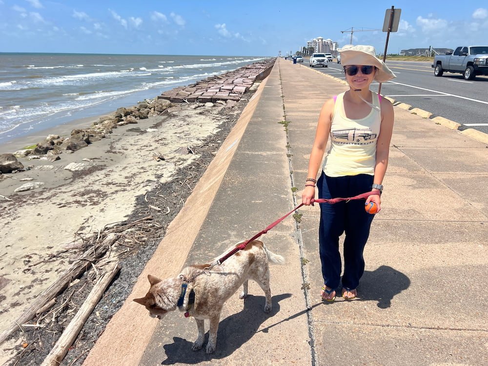 Walking some of the shoreline in Galveston