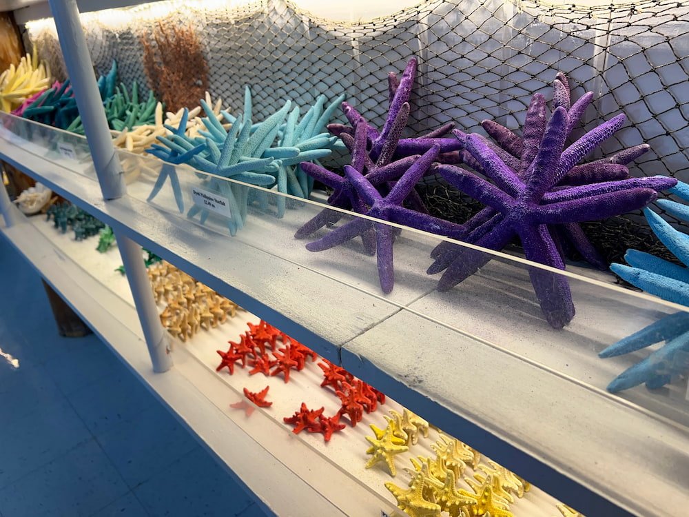 Colorful starfish