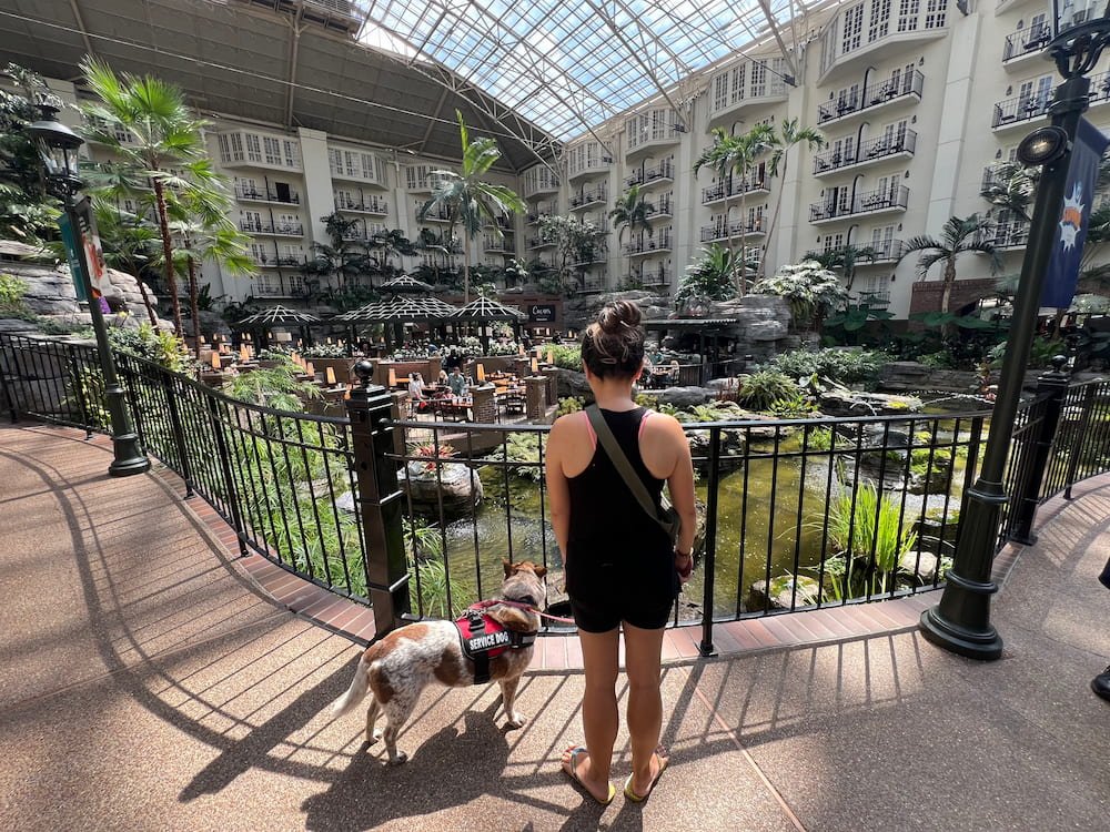 Gaylord Opryland