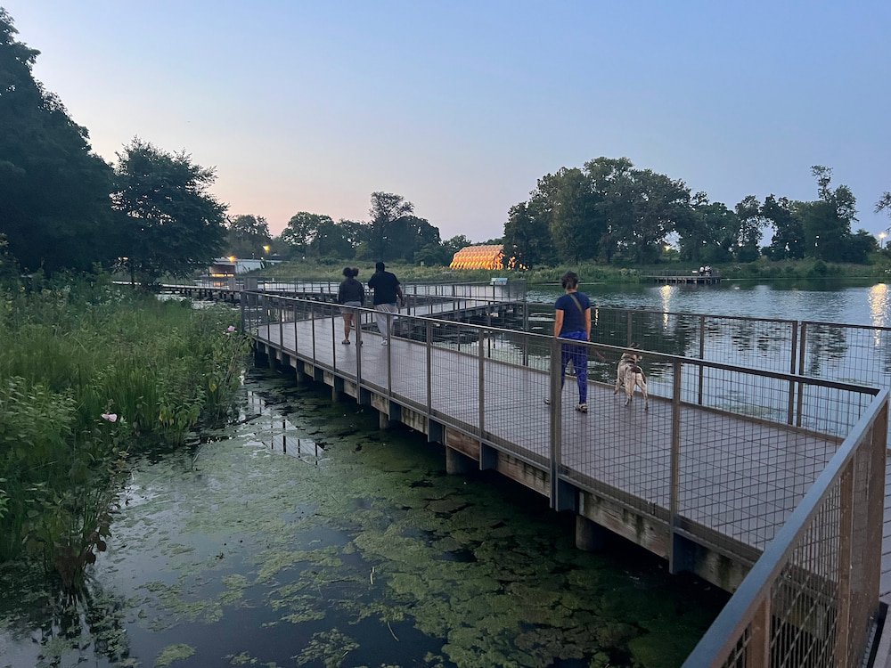 Sunset walk in Lincoln Park