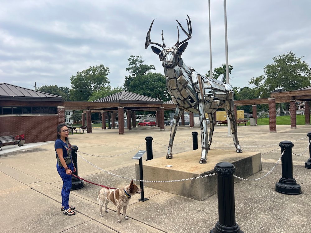 White-tailed deer sculpture made from car bumpers