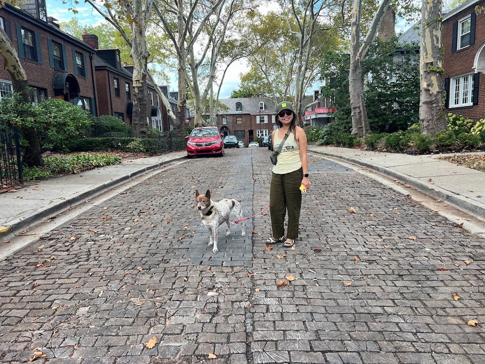 Blocks of wood make up the road