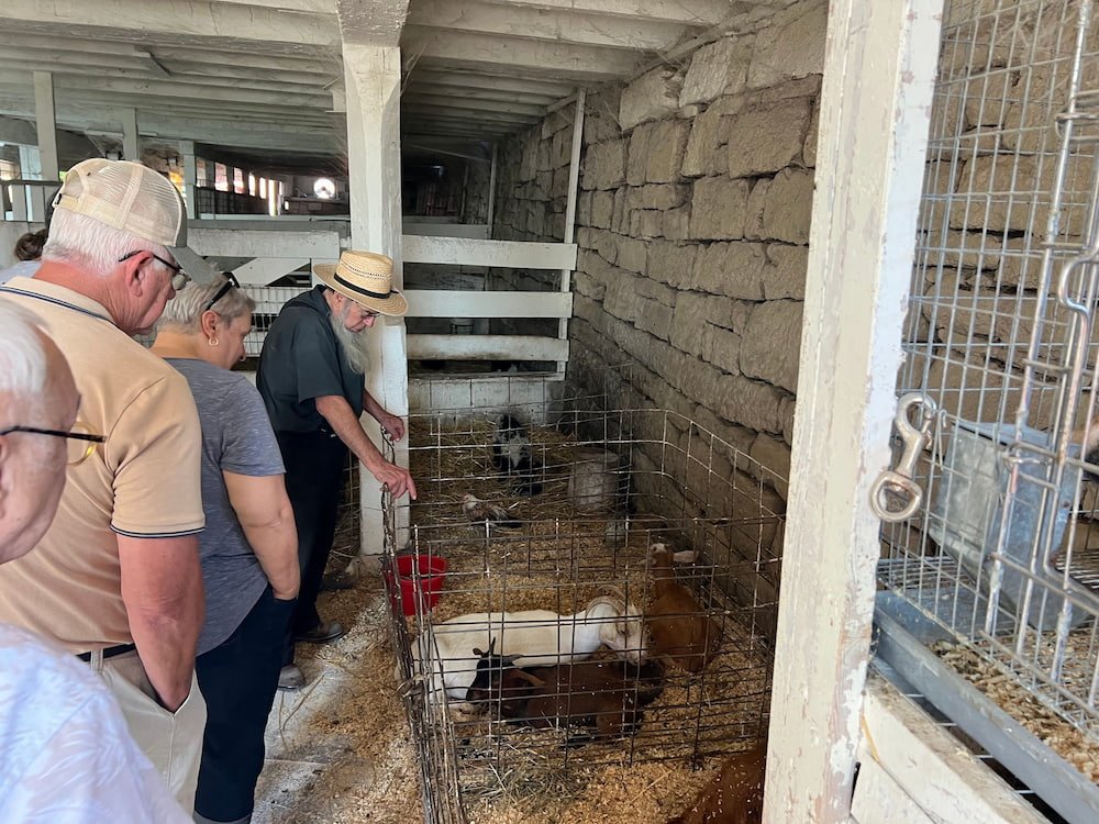 Eli in the stables showing us the animals