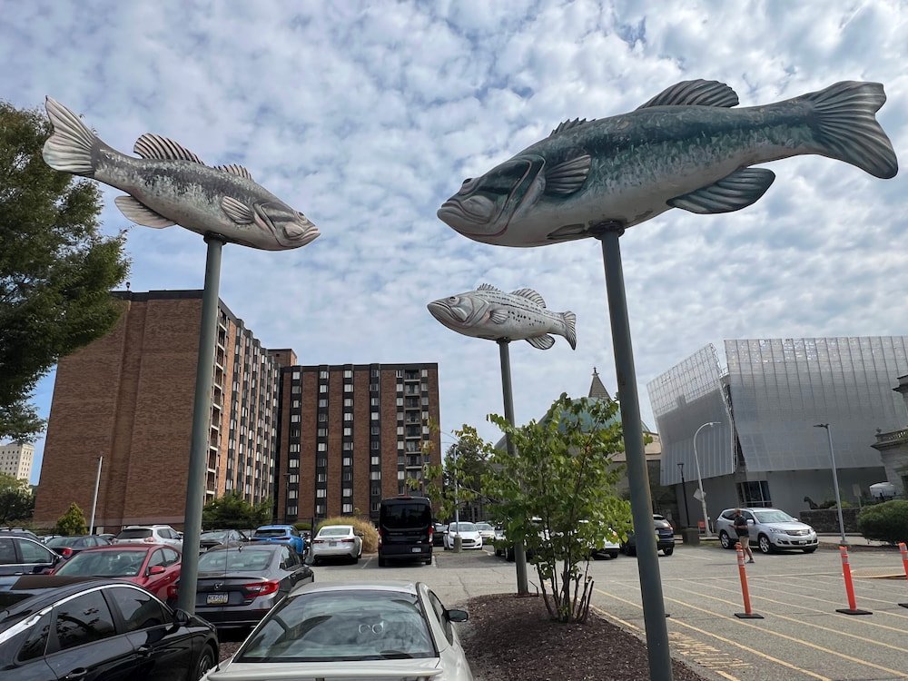 Fish at the Pittsburgh Children's Museum