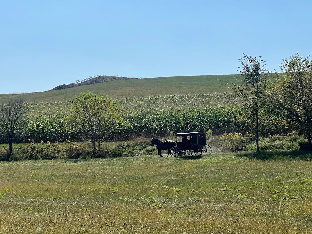 Horse and buggy ride