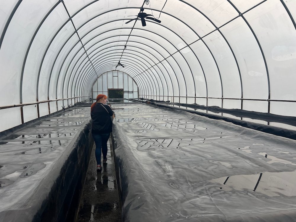 Inside one of the evaporation tents