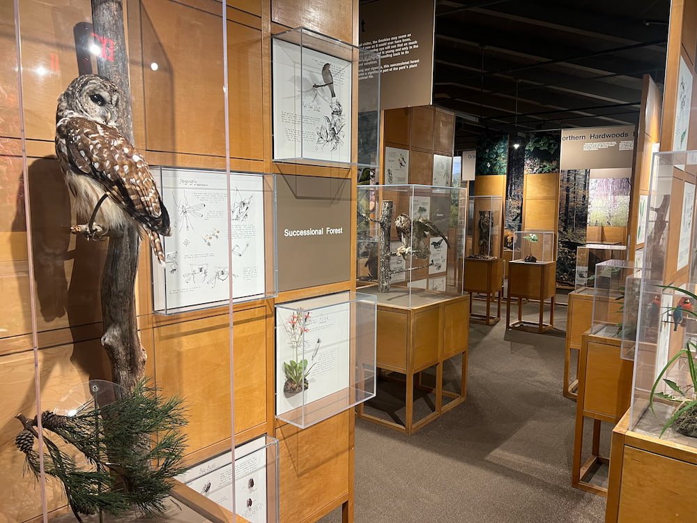 Inside the visitor center
