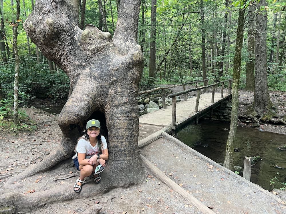 Lisette hiding out in the stump of a tree