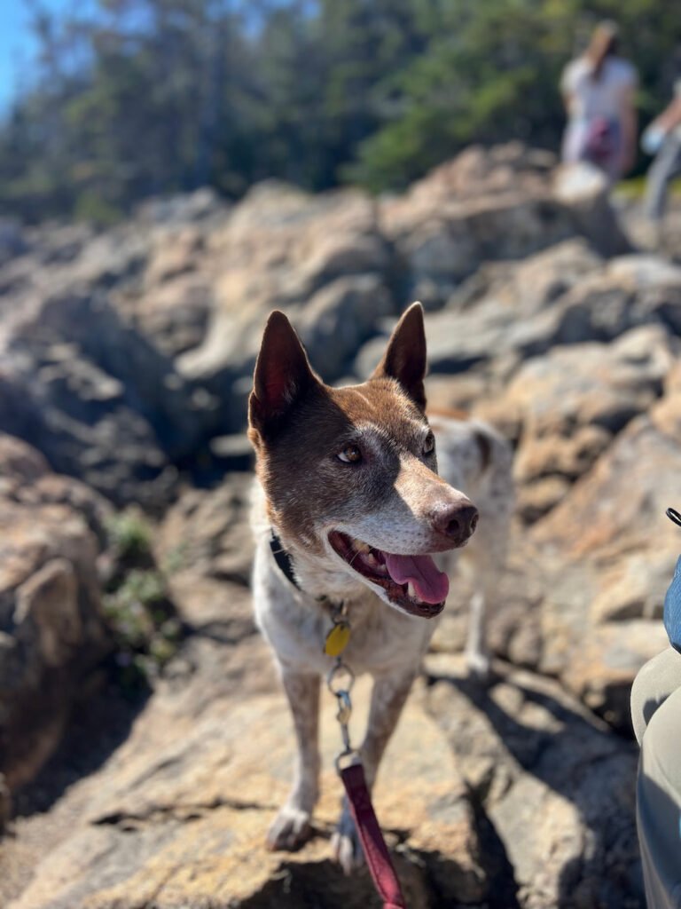 Little Sheila looking happy