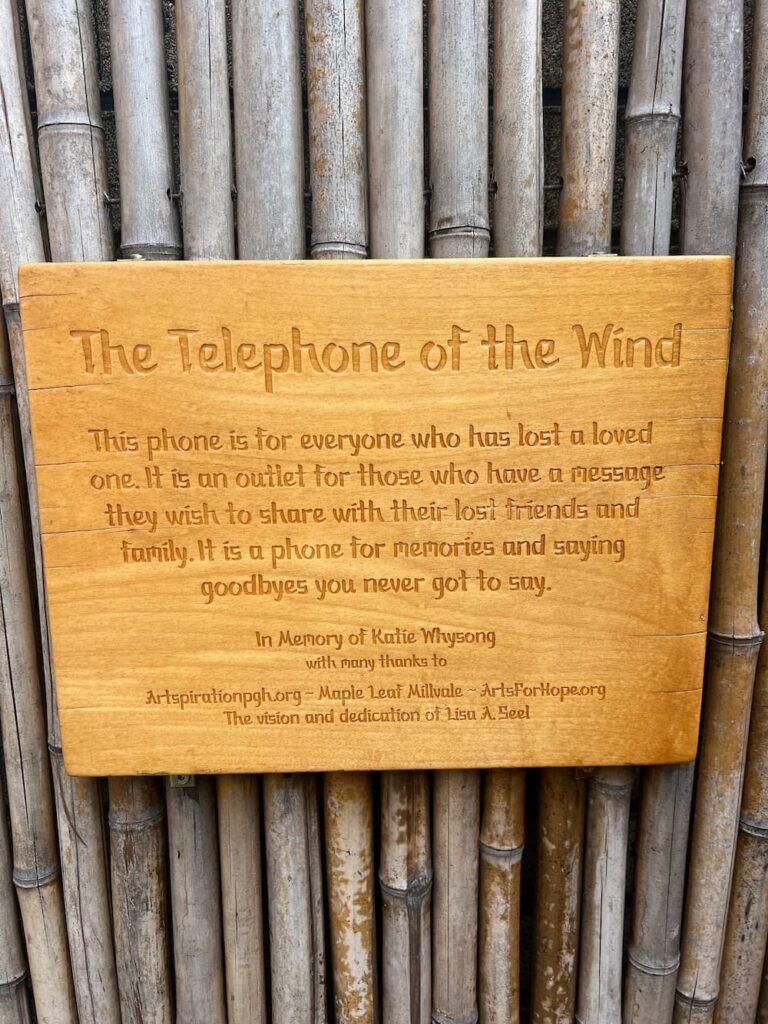 The Telephone of the Wind