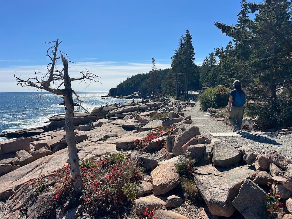 The trail hugged the shore
