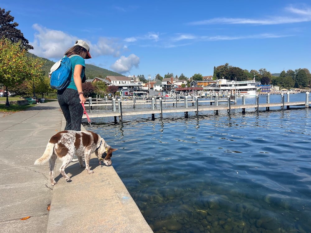 The water was very clear