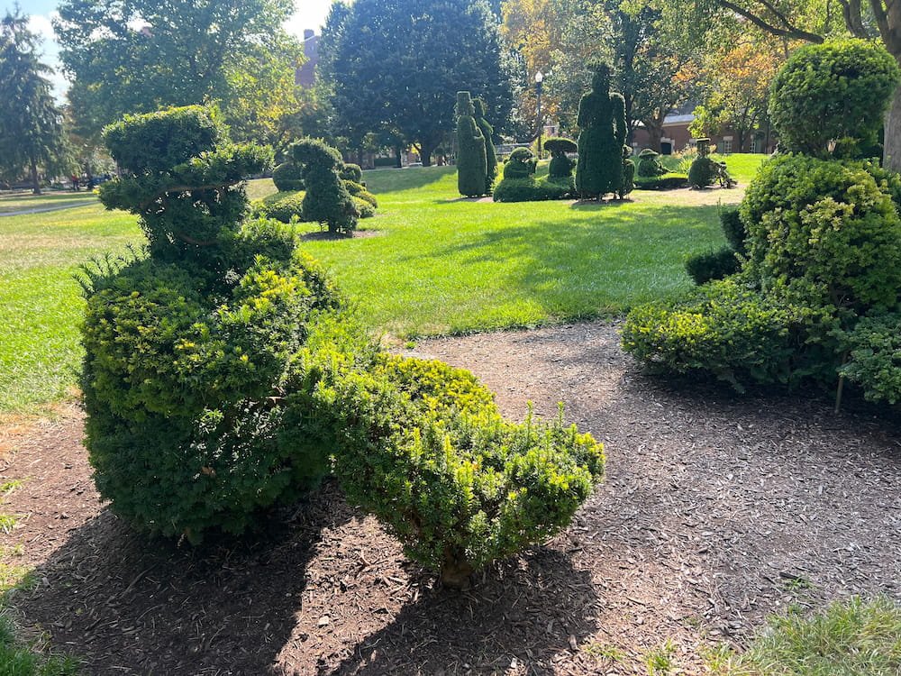 Topiary Park