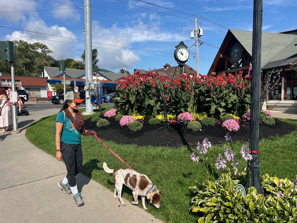 Walking toward Lake George