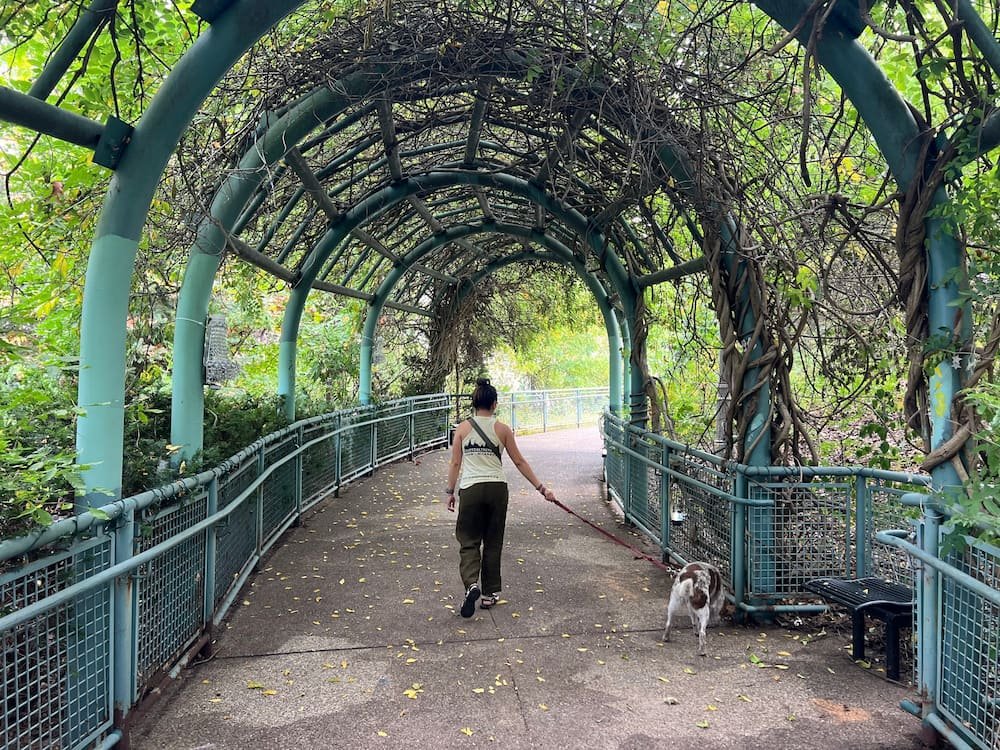 Walking up to the lookout