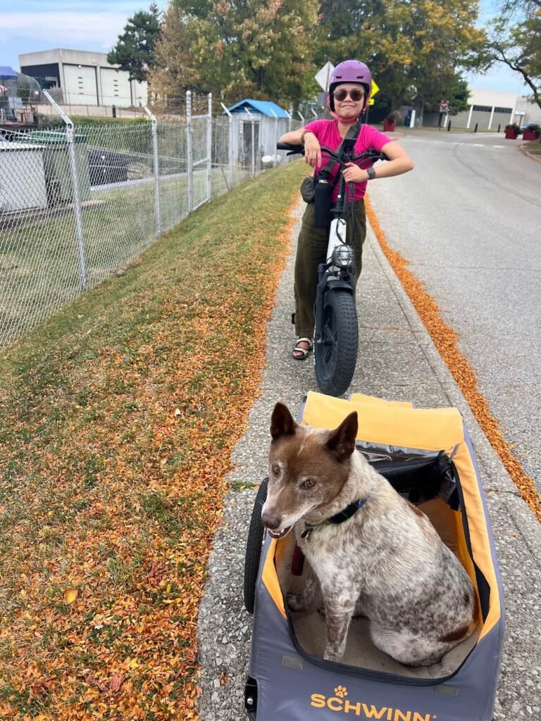 We love buzzing around on the bikes