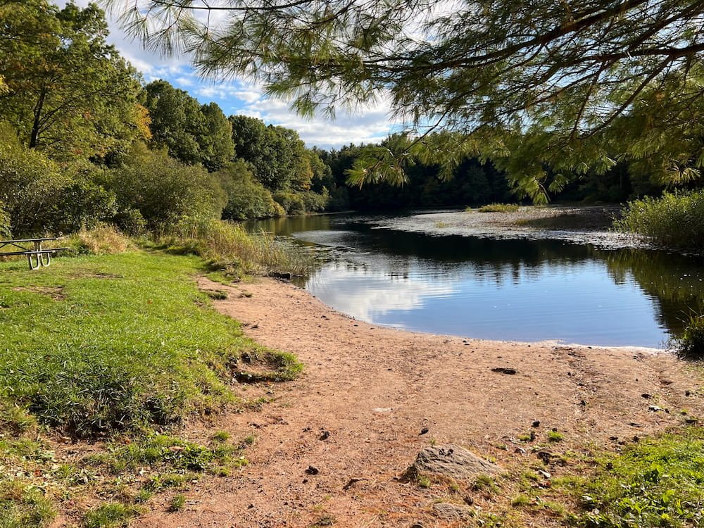 A pretty lake in the park