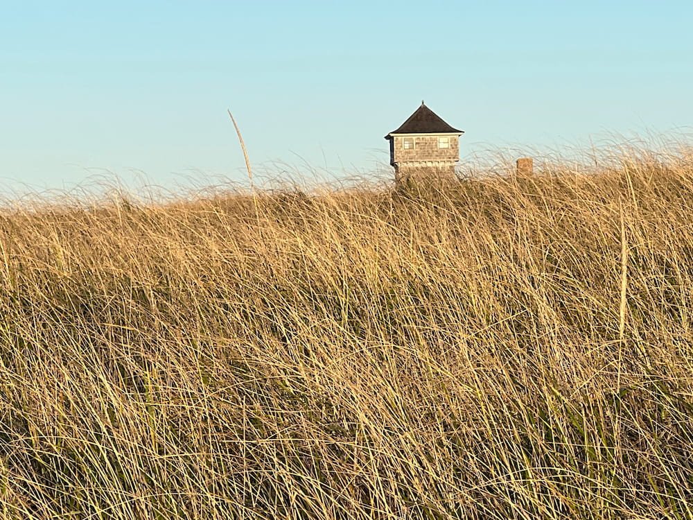 A small tower peeks out from the long grass