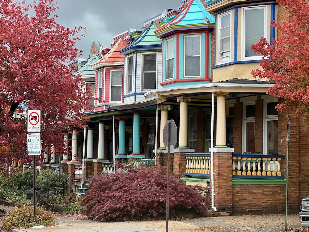 Baltimore Painted ladies