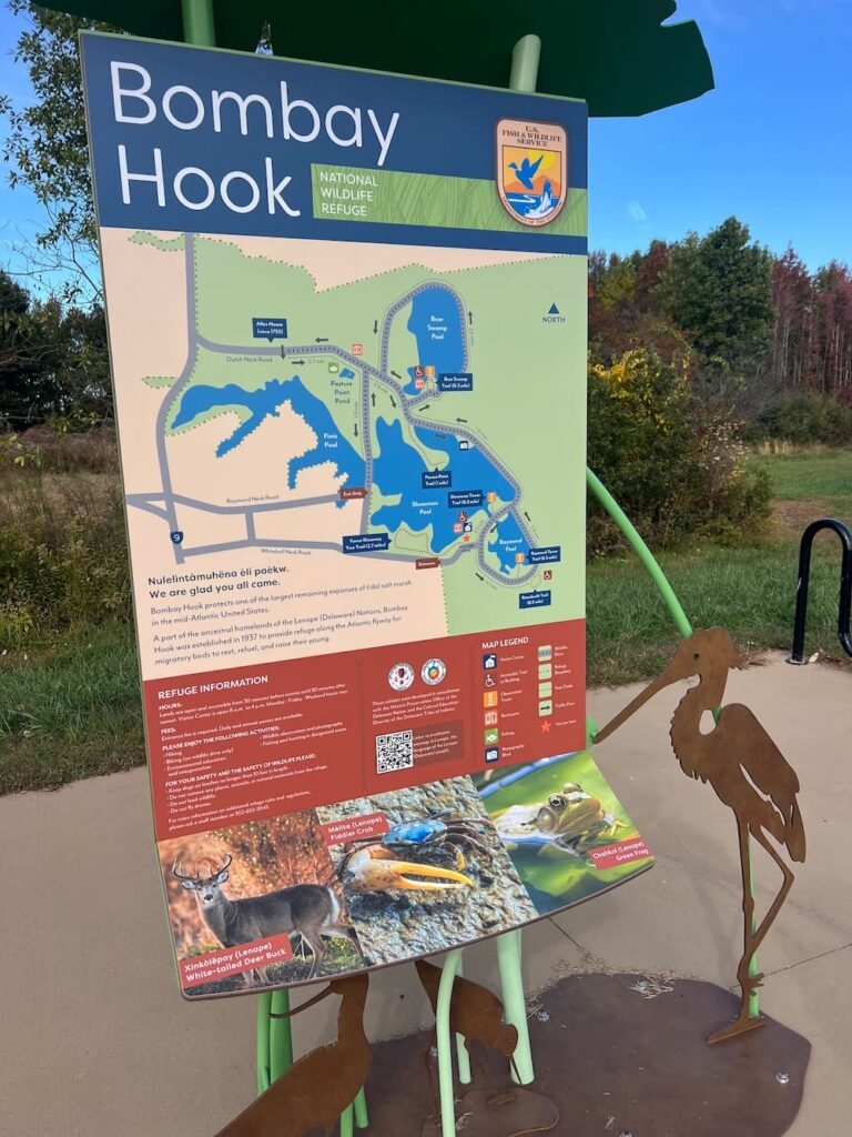 Bombay Hook National Wildlife Refuge