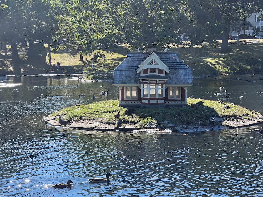 Duck house