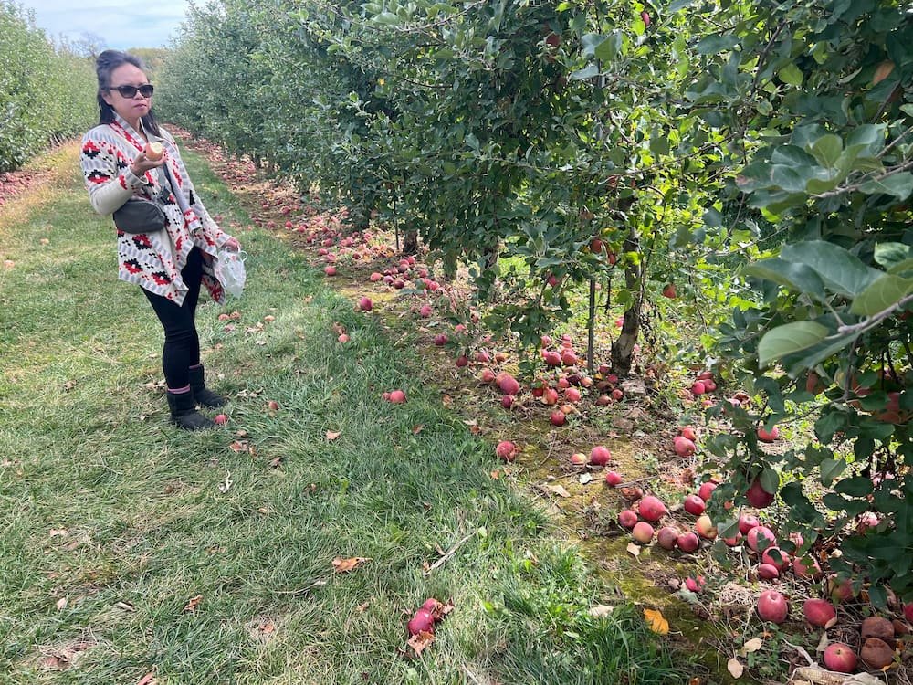 Eating apples on the go