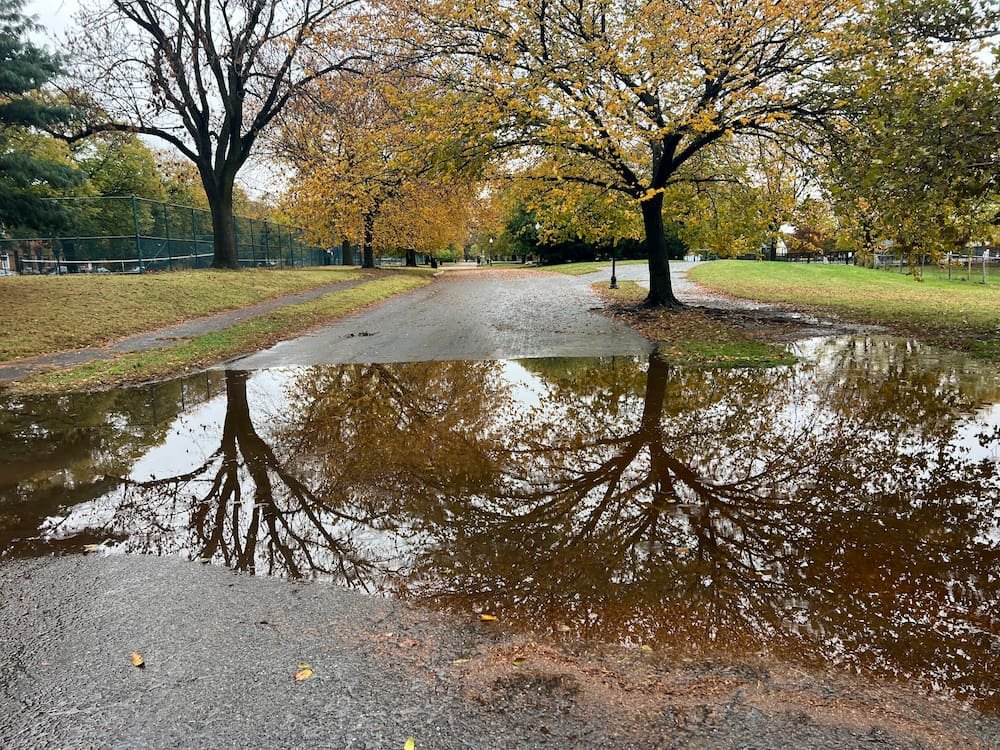 Flooding in the park
