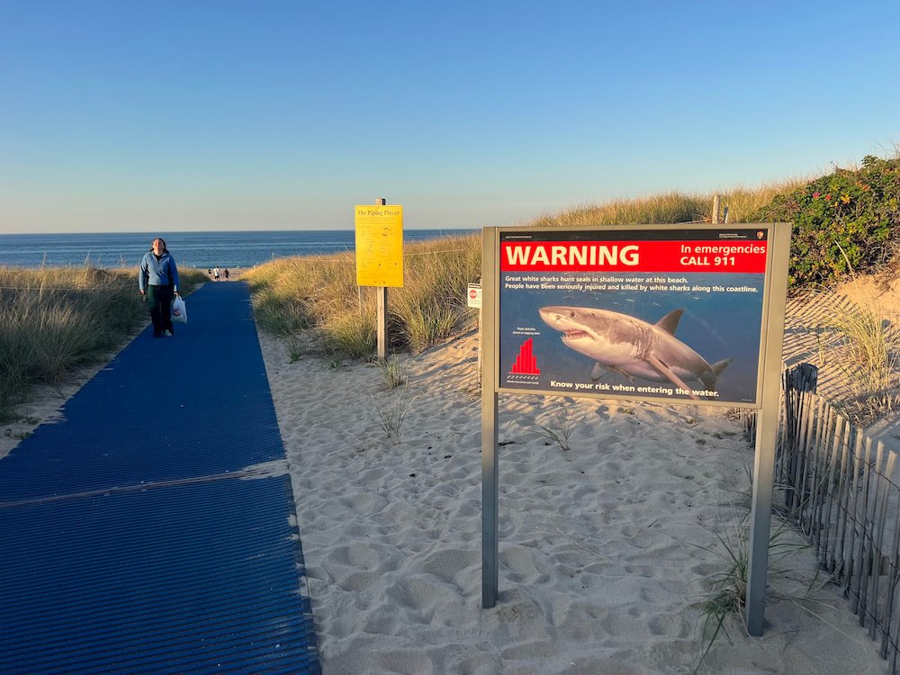 Great white shark warning sign