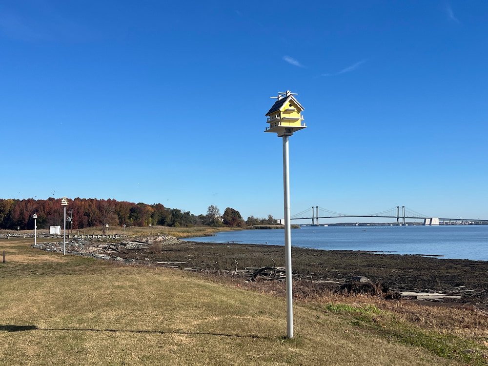 How cool are these bird houses along the waterfront
