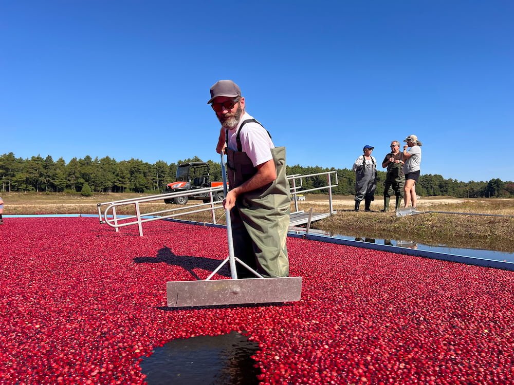 Having a turn of pushing them around