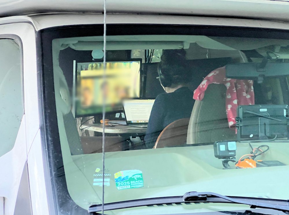 Lisette on a work video call