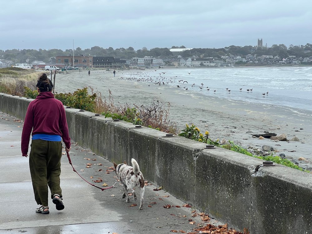 Lisette walking Sheila along the waterfront in overcast weather