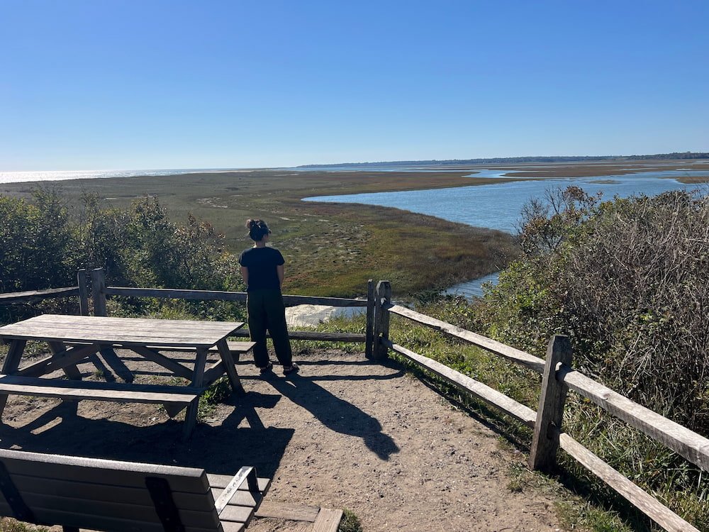 Looking out over the marshy area