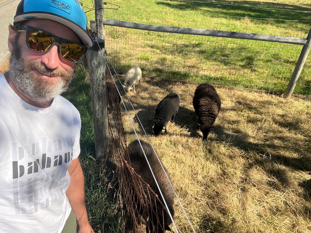 Michael with the Ouessant sheep