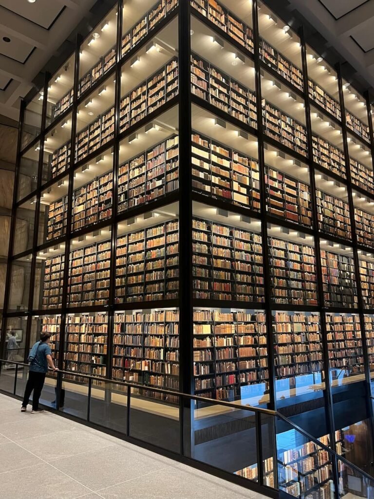 Multiple levels of rare books