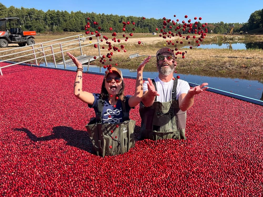 Obligatory throw into the air