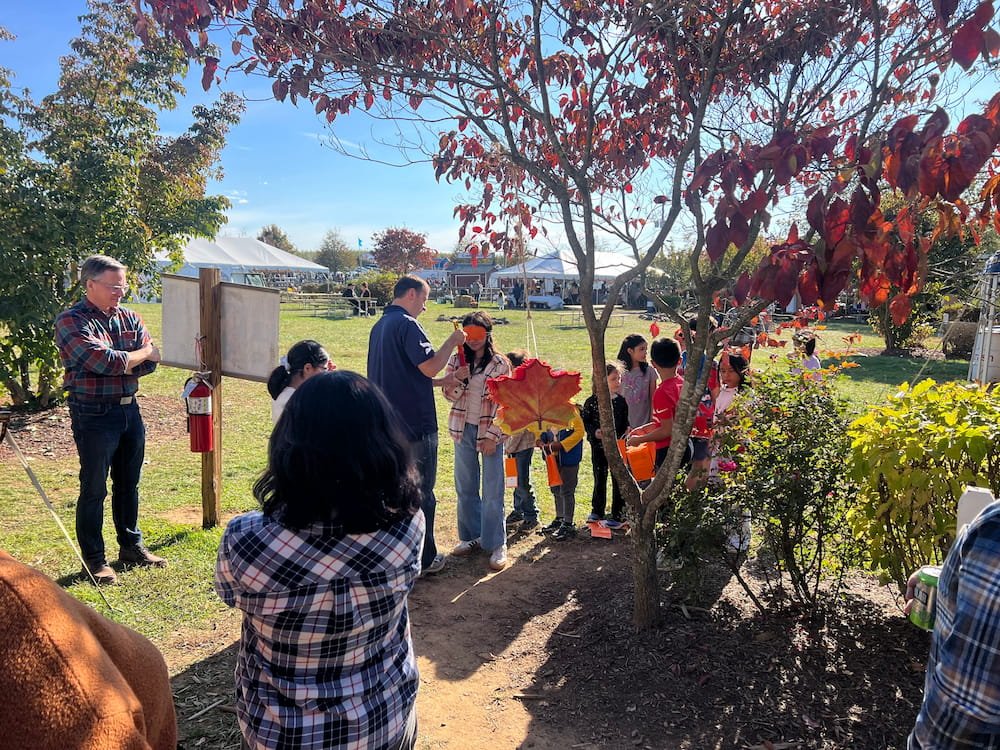 Pinata time for the kids