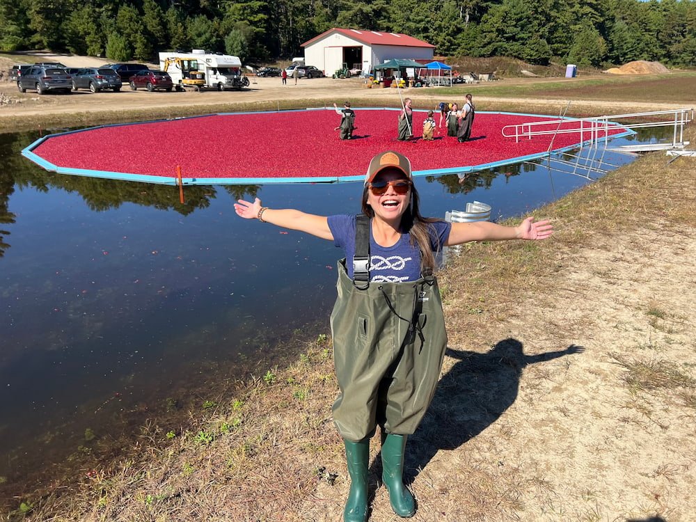 Pool of floating cranberries ready for us